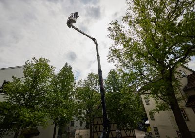 Hubsteiger umgeben von Bäumen