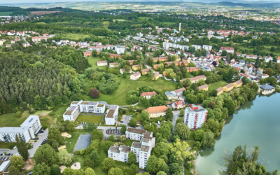 Wie soll sich Wüstenahorn in Zukunft entwickeln?